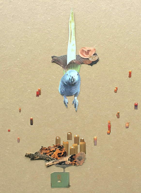 ストーリー性の高いコラージュ作品を制作する上野王香の個展 ブルームギャラリーにて Paperc