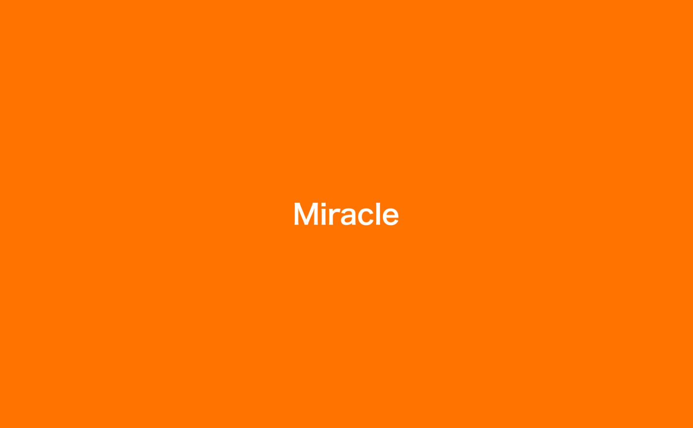 ノマル創立30周年記念企画の最後を飾る、26名(組)によるグループ展「30th – Miracle vol.5 / Miracle」