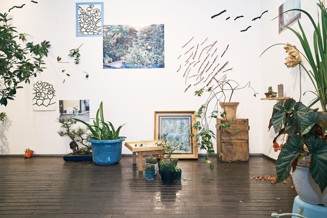 写真、絵、植物が呼応する展覧会「_ plants plain planet _」と複数の持ち寄り企画からなる「8月のピクニック」、iTohenにて開催