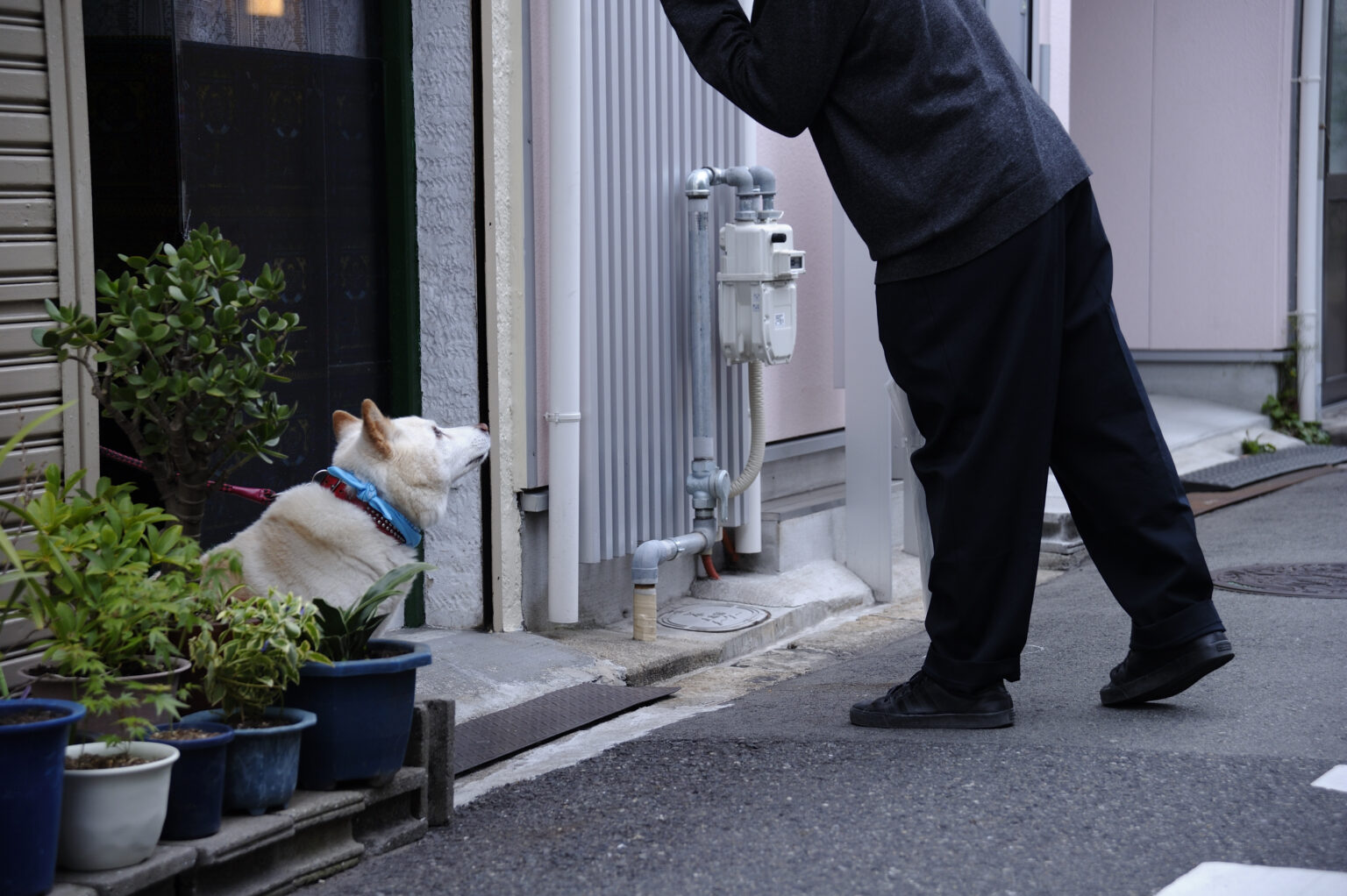 PHOTO REPORT｜2221. 田辺桃ヶ池阿倍野飛田山王新世界天芝天王寺歩き 2/2