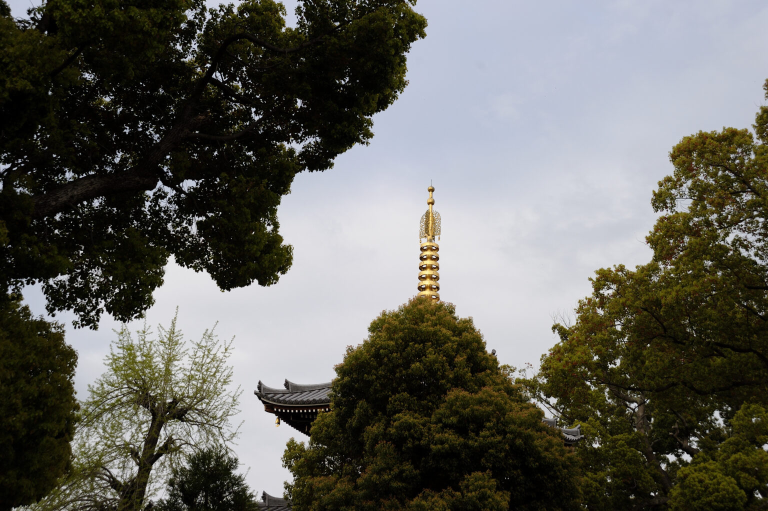 PHOTO REPORT｜2221. 田辺桃ヶ池阿倍野飛田山王新世界天芝天王寺歩き 2/2