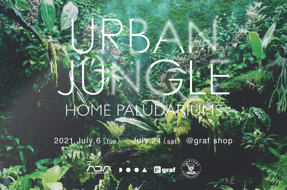 ガラスの水槽に熱帯雨林の風景を再現するパルダリウムとgrafのオリジナル家具を展示。「URBAN JUNGLEーHOME PALUDARIUMS」、graf shopにて。