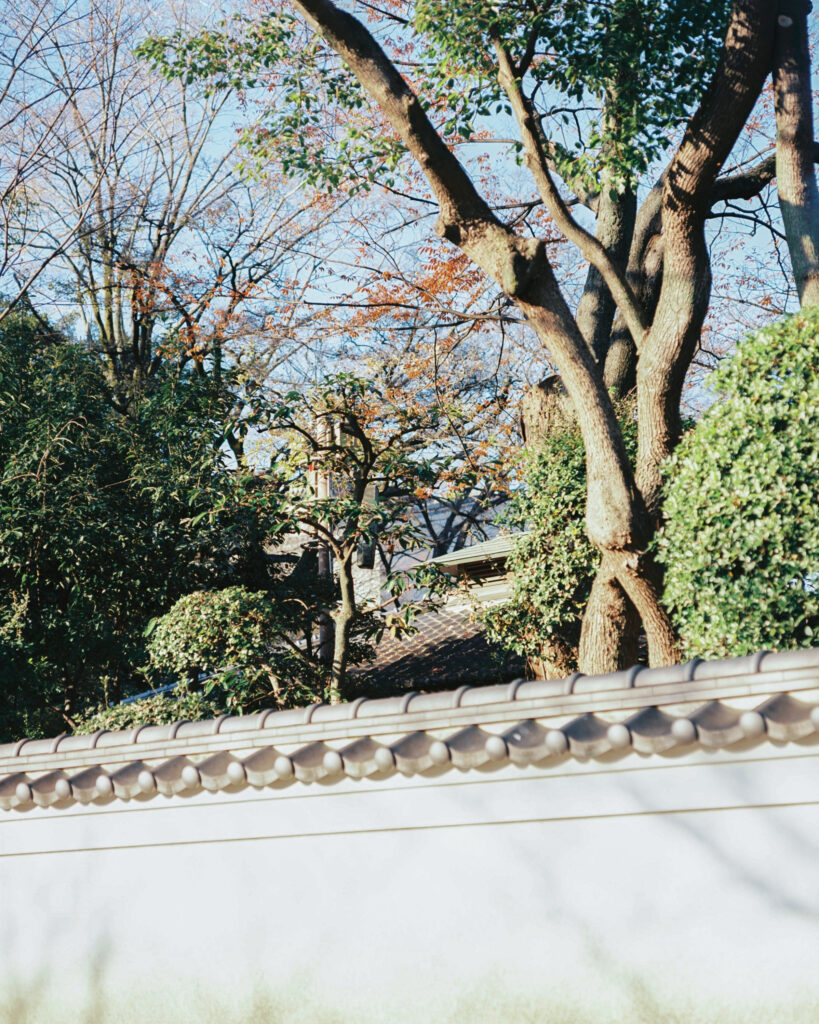 PHOTO REPORT|大阪市立美術館・美術研究所