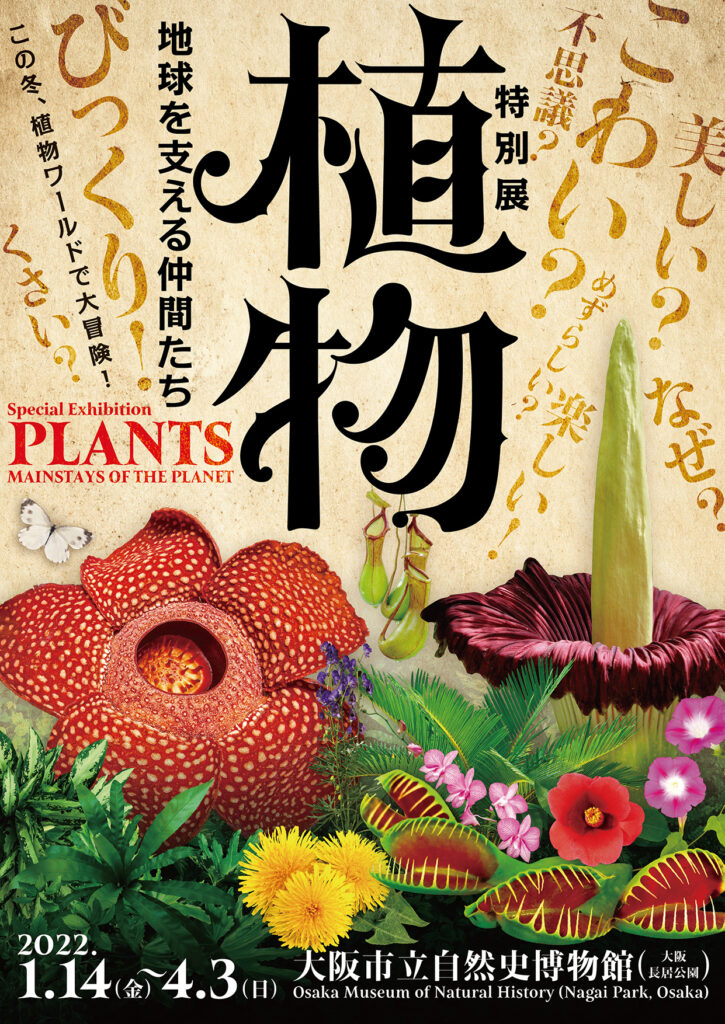 植物の世界に引き込まれる特別展「植物　地球を支える仲間たち」が、大阪市立自然史博物館で4月3日（日）まで開催中。