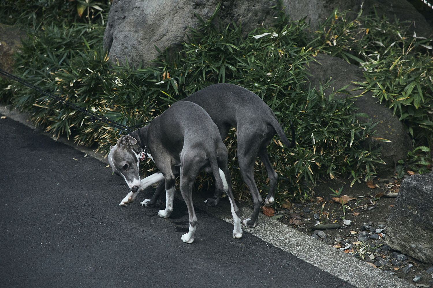 REPORT｜中村寛史写真展「中史」