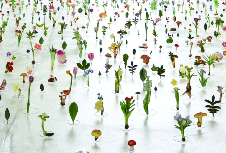 東大阪市民美術センターにて、特別展「ひみつの花園」開催。「花園」の伝承に立ち返り、5人の現代美術家が作品を発表。