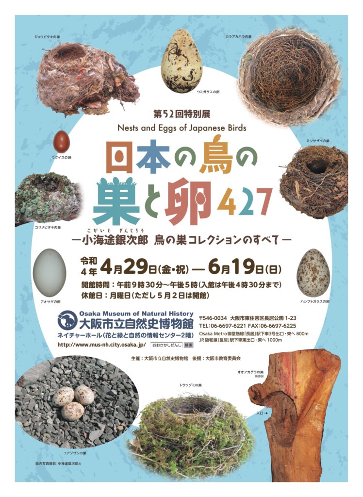 河内長野市在住の鳥の巣収集家、小海途銀次郎の コレクションを紹介する「日本の鳥の巣と卵427」展が、 6月19日（日）まで大阪市立自然史博物館で開催中。