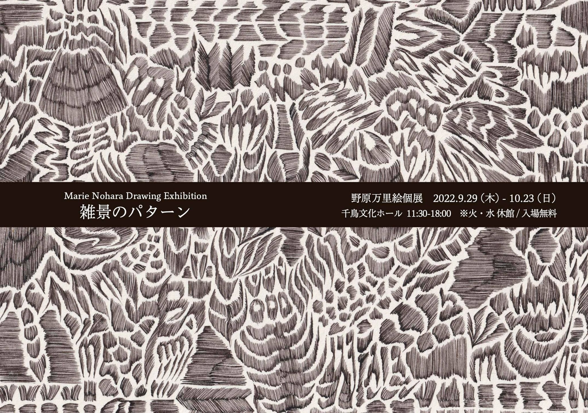 野原万里絵の初めてのドローイング展「雑景のパターン」、千鳥文化にて。| paperC