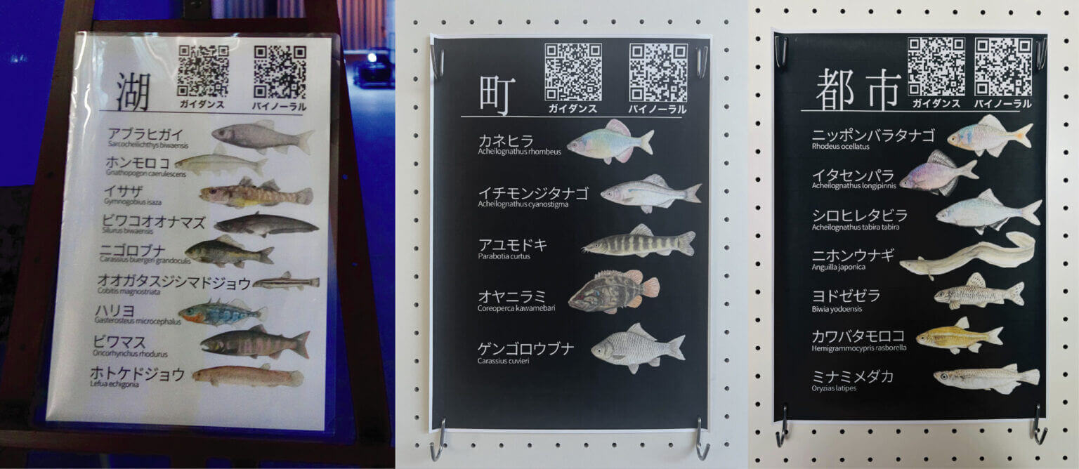 REPORT｜NAWAによる体験型展示「メディア・アート×生物多様性の保全」。近畿大学にて、未来に残したい“絶滅危惧種”の魚たちへの気づきを与える、はじめての試み。