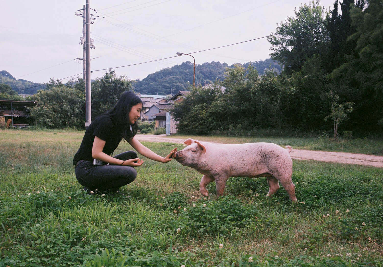 『メメント・モモ　豚を育て、屠畜して、食べて、それから』出版記念展として、百島在住のアーティスト・八島良子が大阪で作品を展示。12月10日から、Calo Bookshop & Cafeにて。