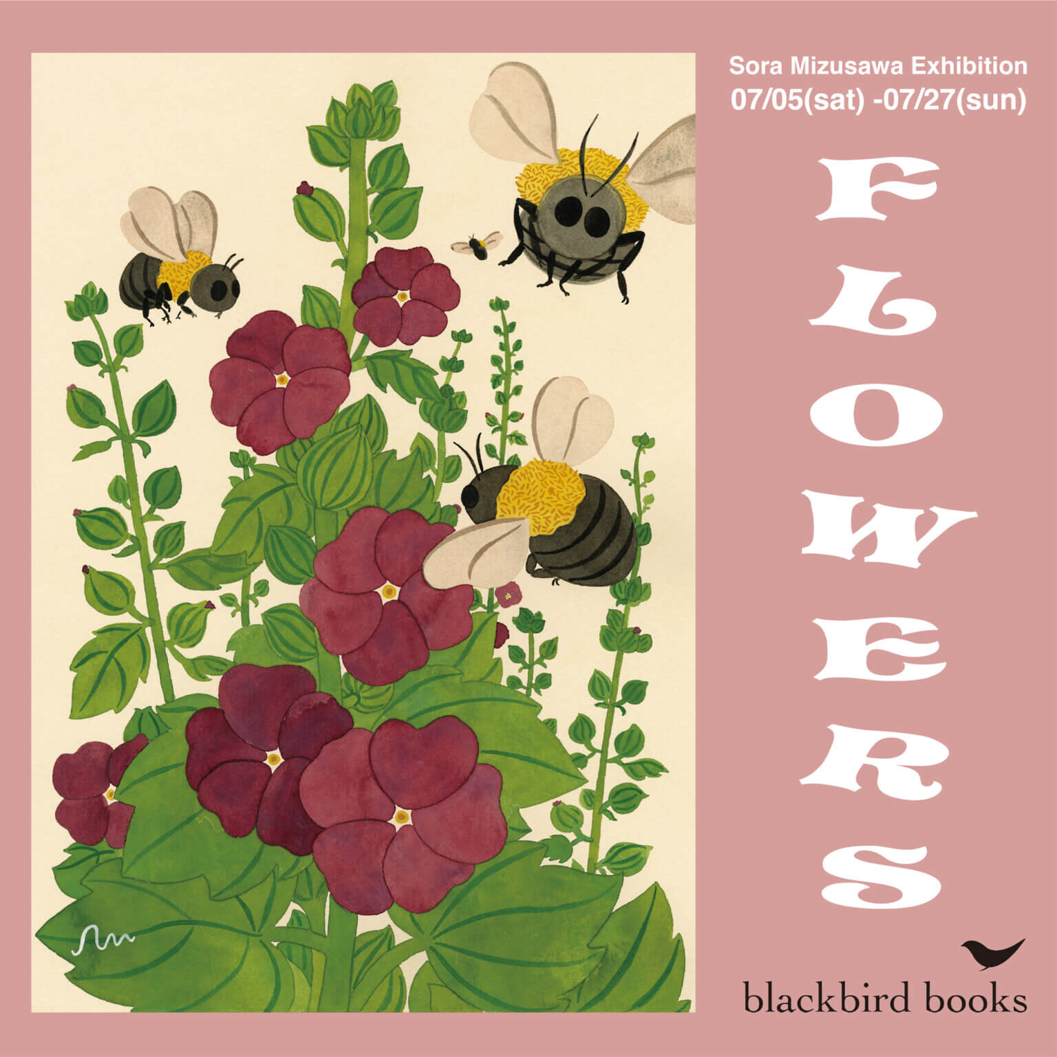 イラストレーター・水沢そらの個展「FLOWERS」、blackbird booksにて開催。身近に存在する花や植物を描いた作品を展示。