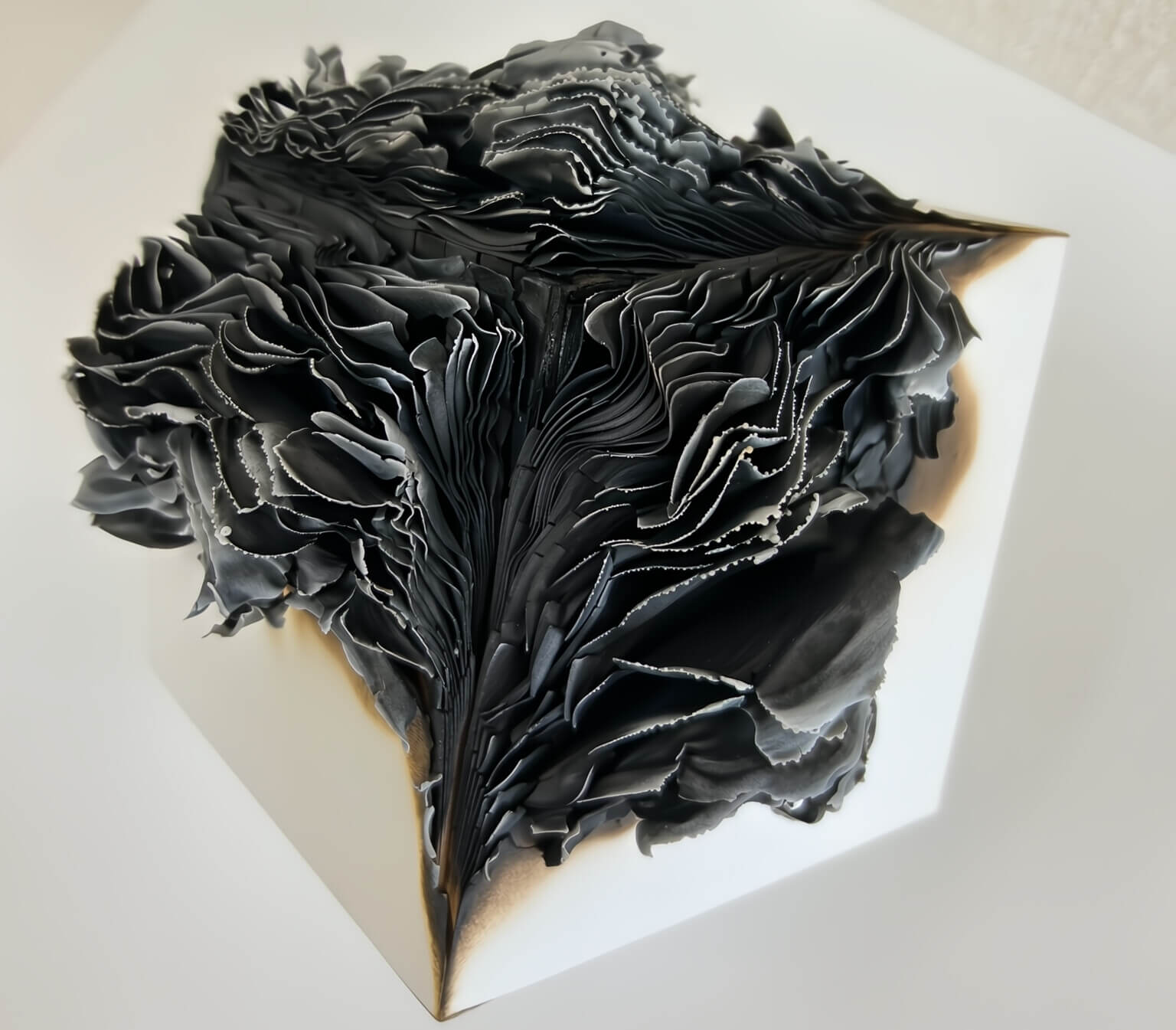 REVIEW|生の存在証明としての線——「ライフライン」展
