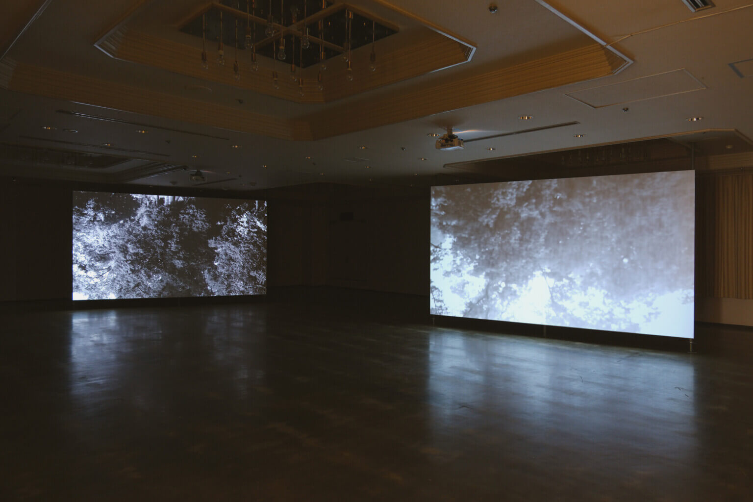 REVIEW|生の存在証明としての線——「ライフライン」展
