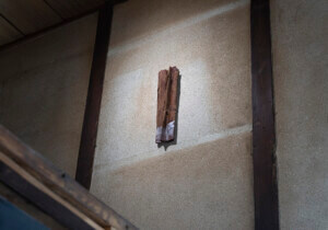 REVIEW｜永遠性の在り処を問う —— ケイト・ストラカン「Draped Moments」