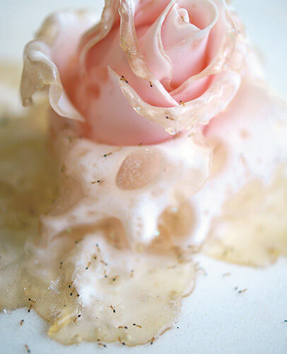 西山美なコの個展「〜destiny of Sugar Rose〜」、Yoshimi Artsにて10月25日から開催。2000年代から砂糖で制作している《Sugar Rose》を展示し、時の流れを可視化する。