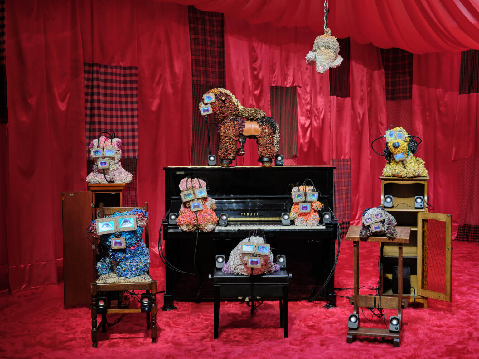 REVIEW｜プラカードのために