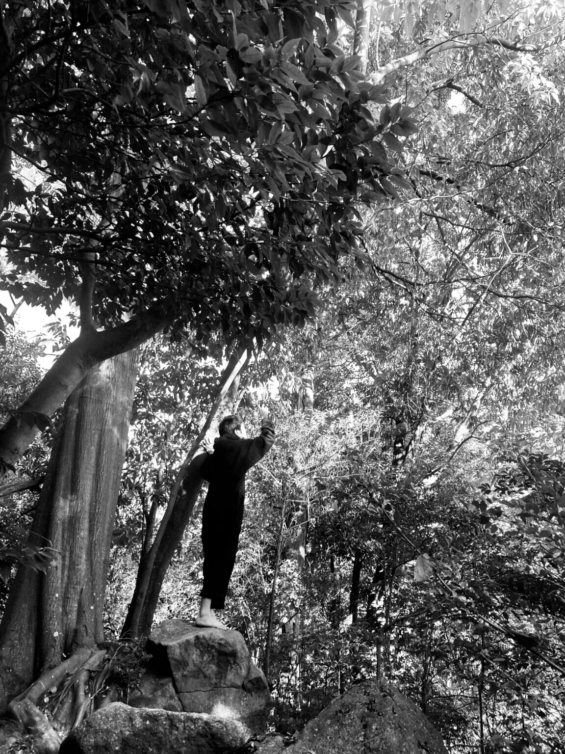 四三館にて、「− 森羅万象を抽象する 2 −」開催。演奏はYoshimiOと七円体ほか。大井戸猩猩と日本図案館による展示も。