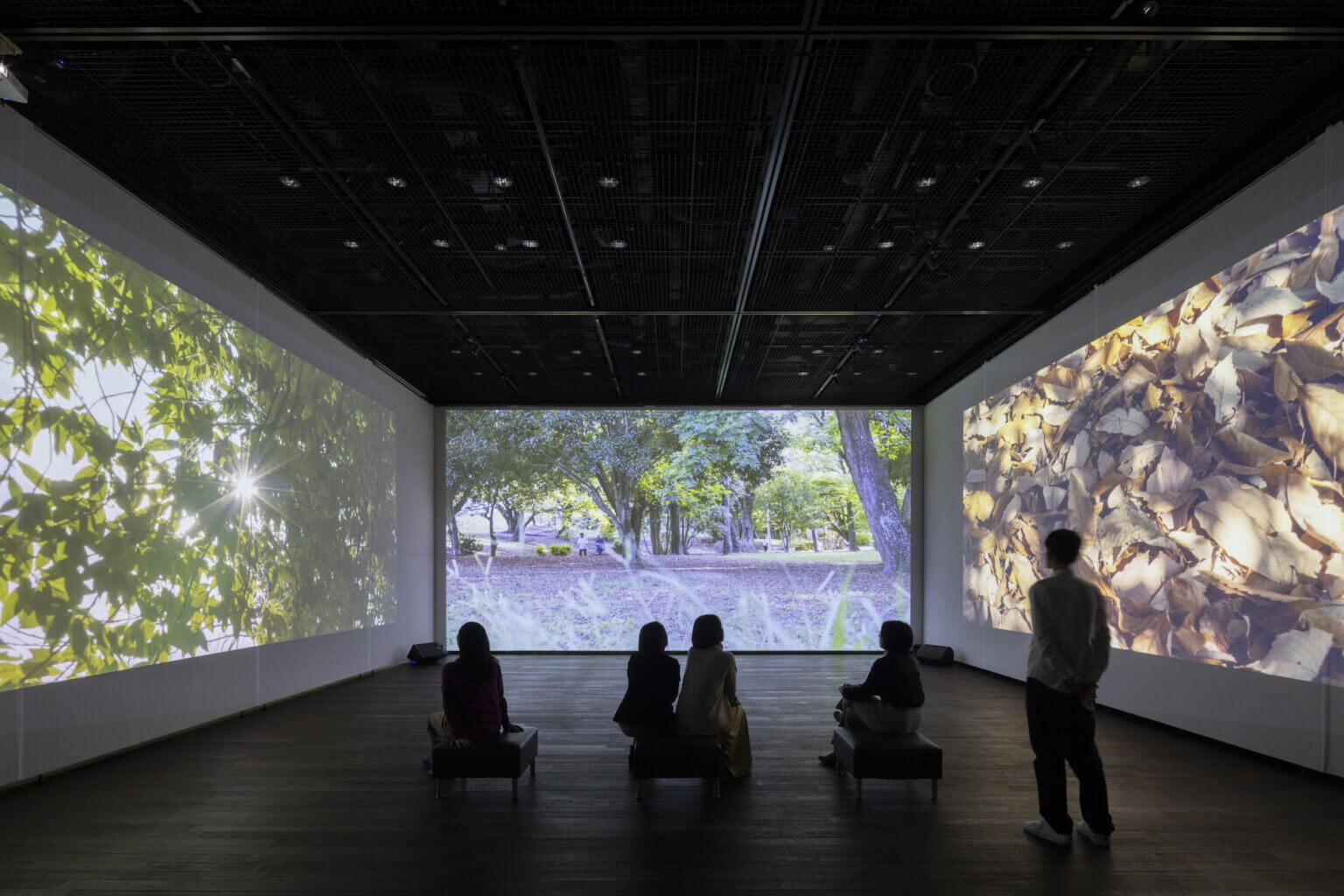 映像作家・林勇気の大規模個展「映/像」、豊中市立文化芸術センターにて2月1日より開催。豊中の街でキツネを探す行為を作品化した《unseen》を軸に構成。