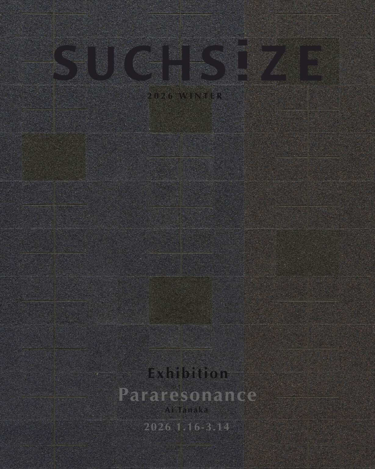オープンアートラボ・SUCHSIZEの2026年冬展「Para-resonance」、1月16日より開催。「岩絵具」を素材とし、独自のルールを用いて描き方を生成変化させる画家・田中藍衣を紹介。