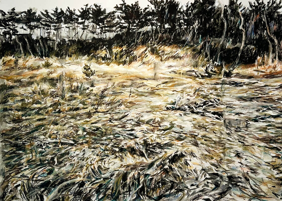 REVIEW｜菊池聡太朗 個展「余りの風景」