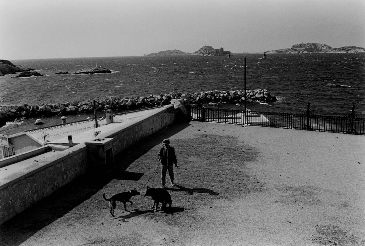 尾仲浩二による写真展「Neko wa Neko 2 & Another The Dog in France」、ギャラリー・ソラリスにて4月7日より開催。猫をテーマにした最新作など、国内外を旅する中で撮りためた作品群を展示。