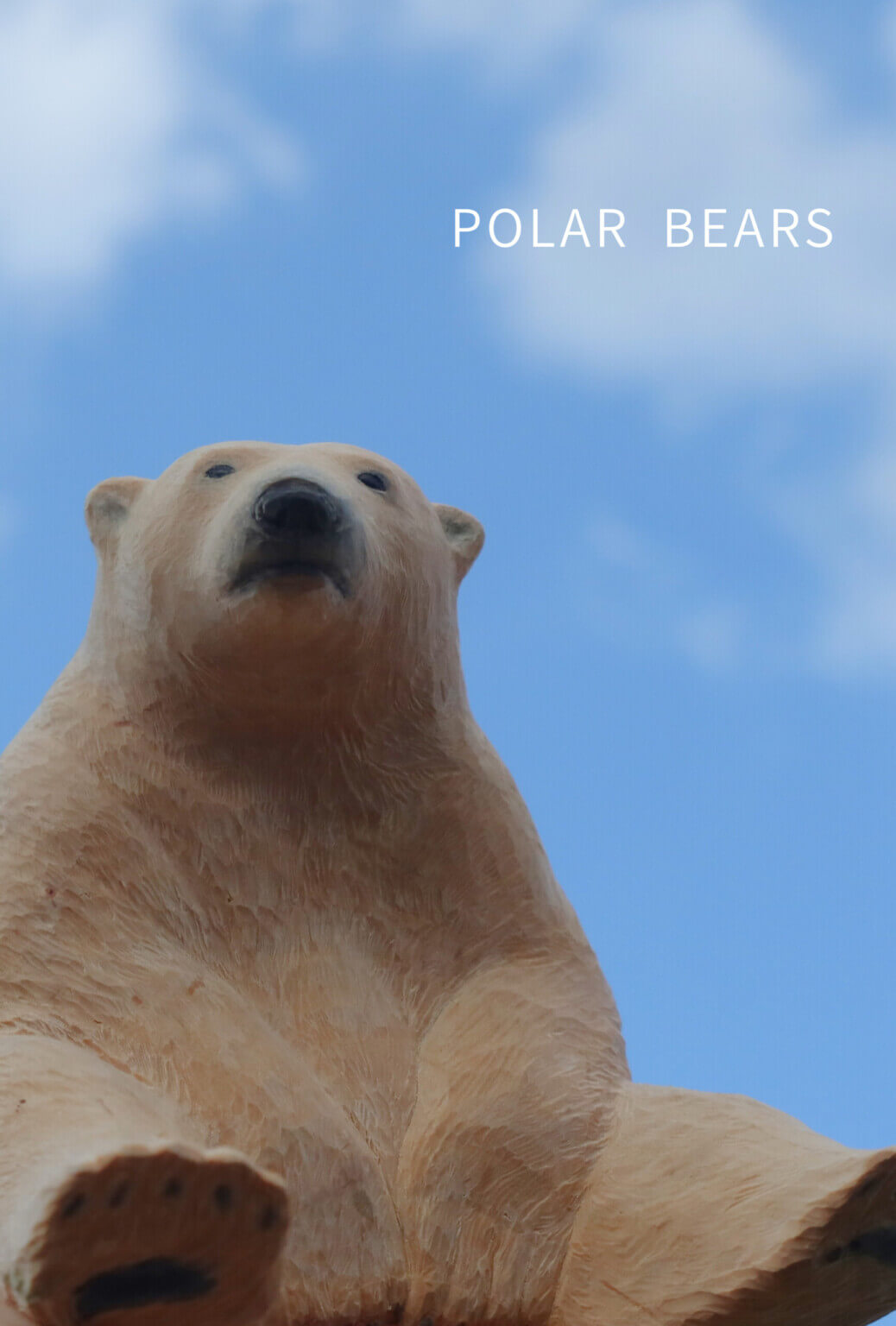 大曽根俊輔による彫刻展「POLAR BEARS」、オソブランコにて5月21日より開催。木彫のシロクマを展示。