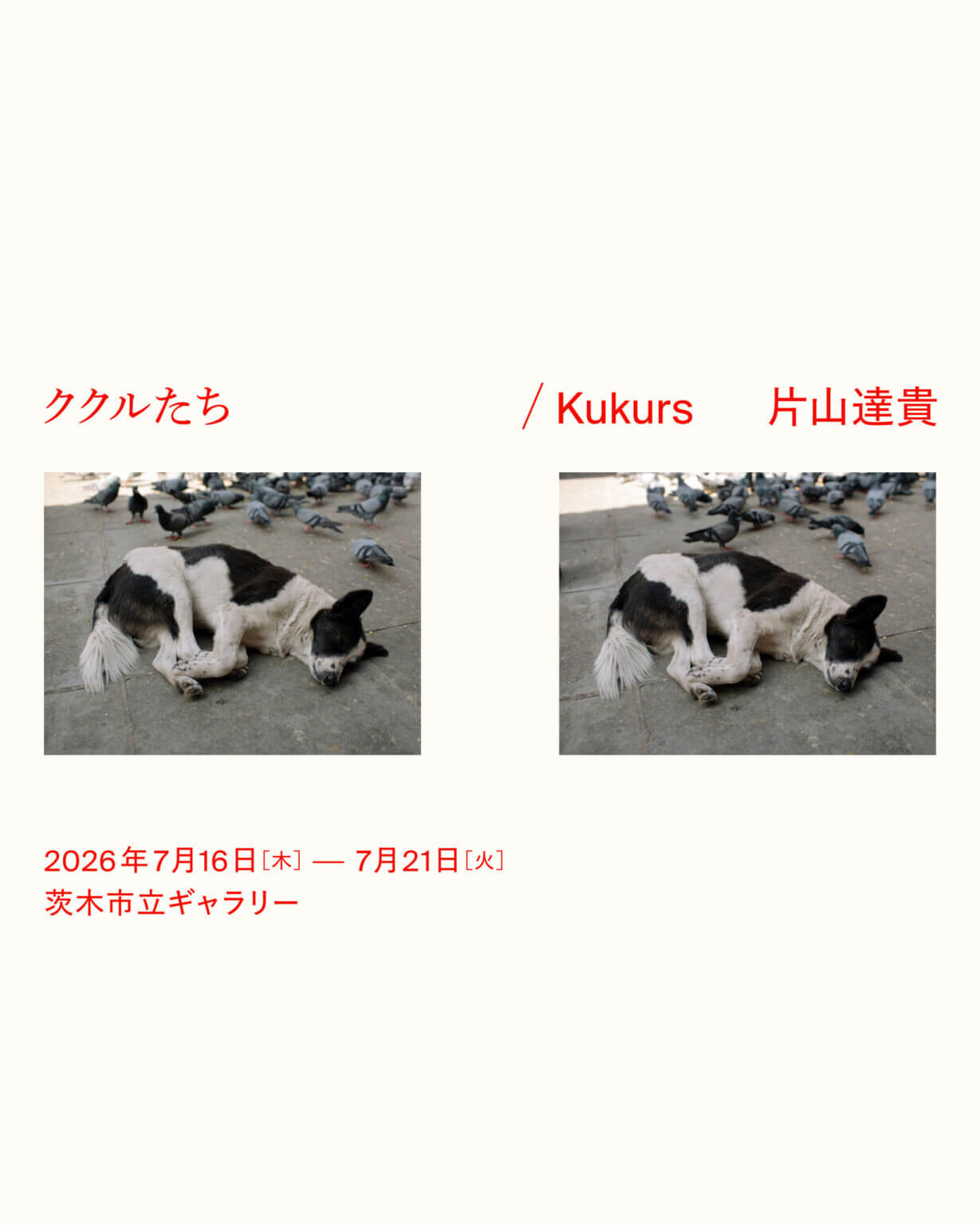 写真家・片山達貴の個展「ククルたち / Kukurs」、茨木市立ギャラリーにて7月16日より開催。追手門学院大学社会学部の学生が展覧会の運営を担う。