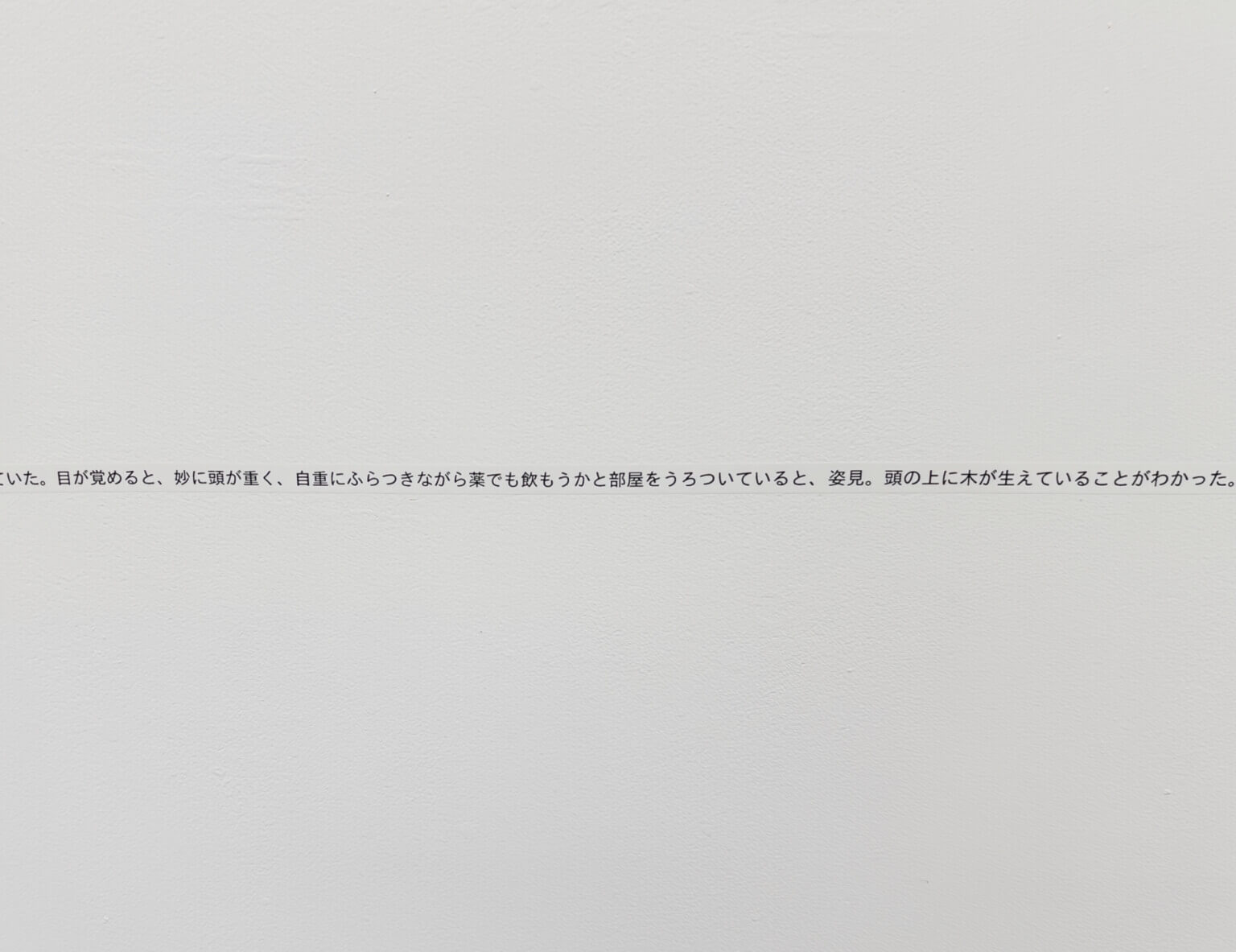 REVIEW|土屋咲瑛 個展「→第4の壁」——世界には、私という穴があいている