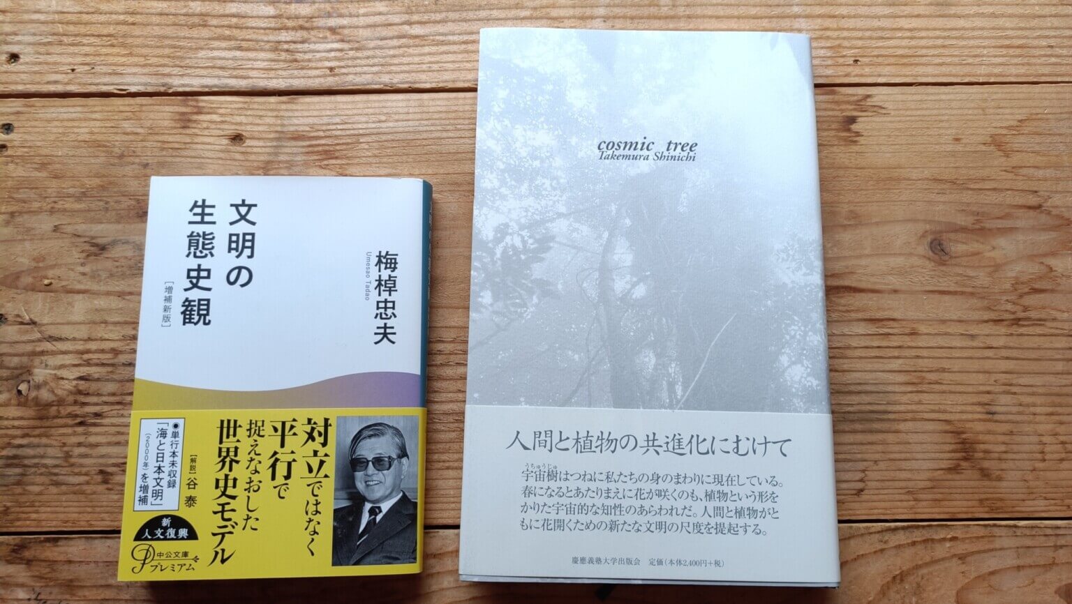 DIALOGUE|小さなまちで商うふたりの往復書簡 第10便:モリテツヤ(汽水空港)→土井政司(タラウマラ)