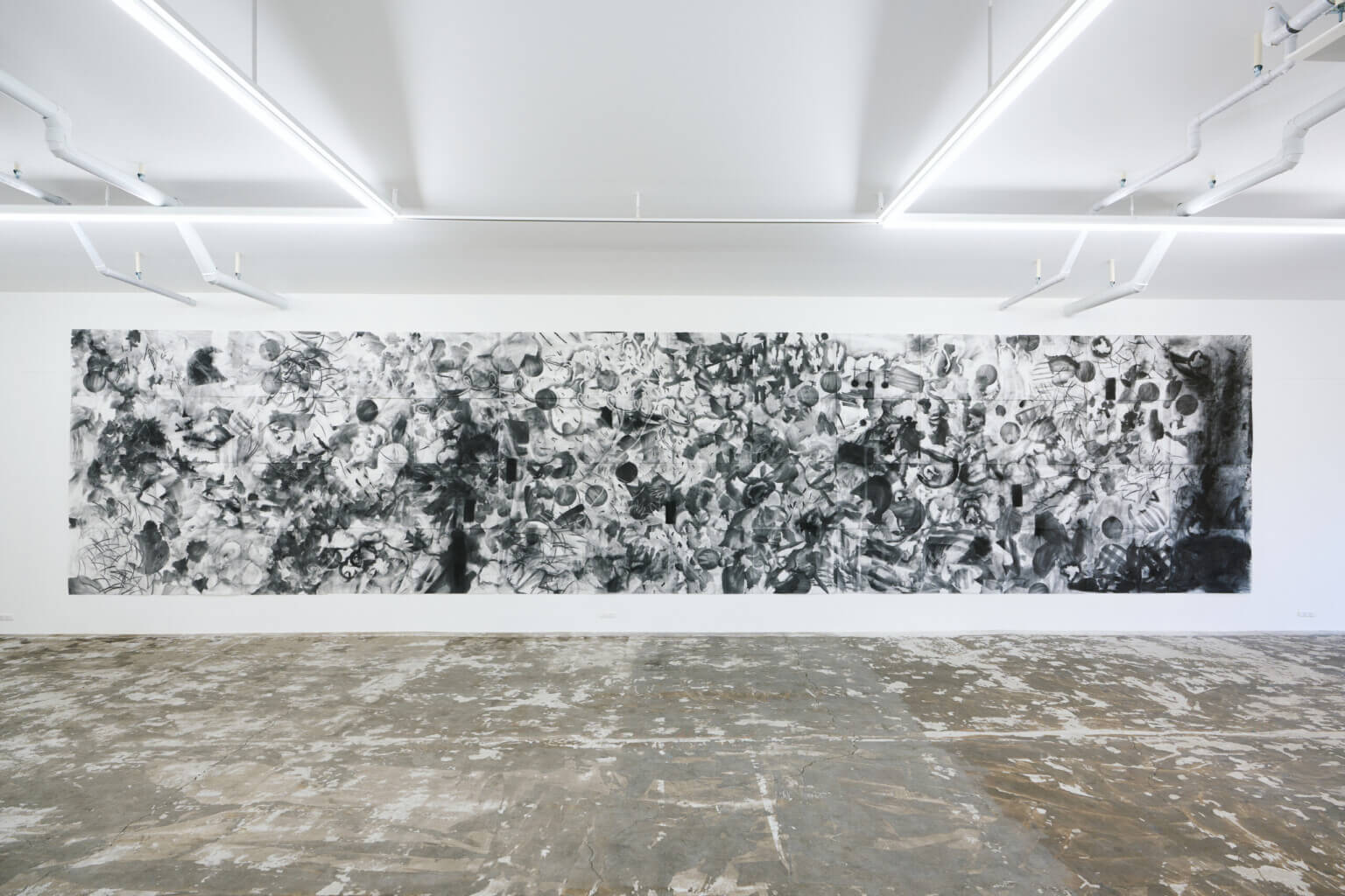 PHOTO REPORT|咲くやこの花賞受賞記念展示「野原万里絵 名もなき地への思索」