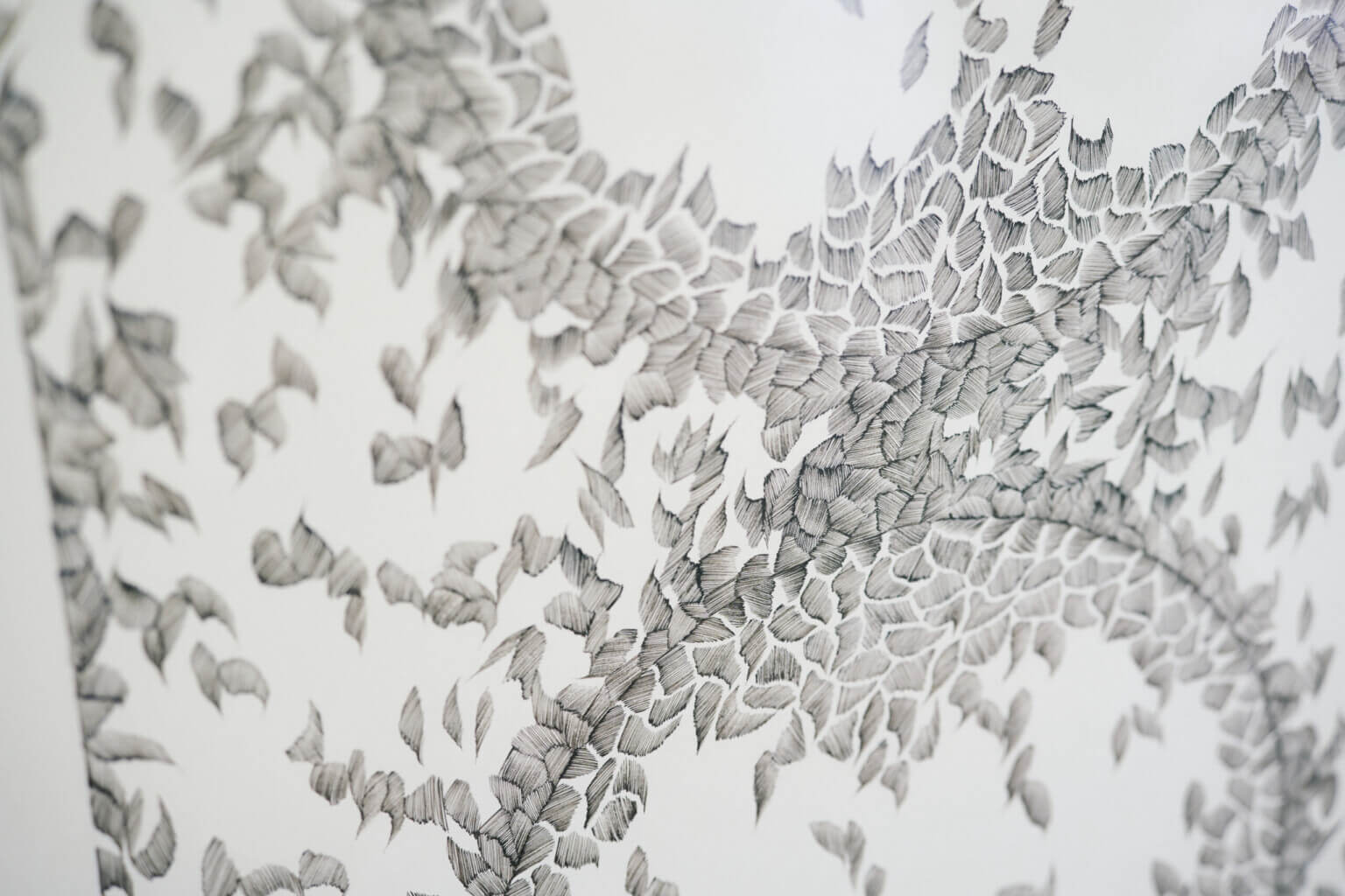 PHOTO REPORT|咲くやこの花賞受賞記念展示「野原万里絵 名もなき地への思索」