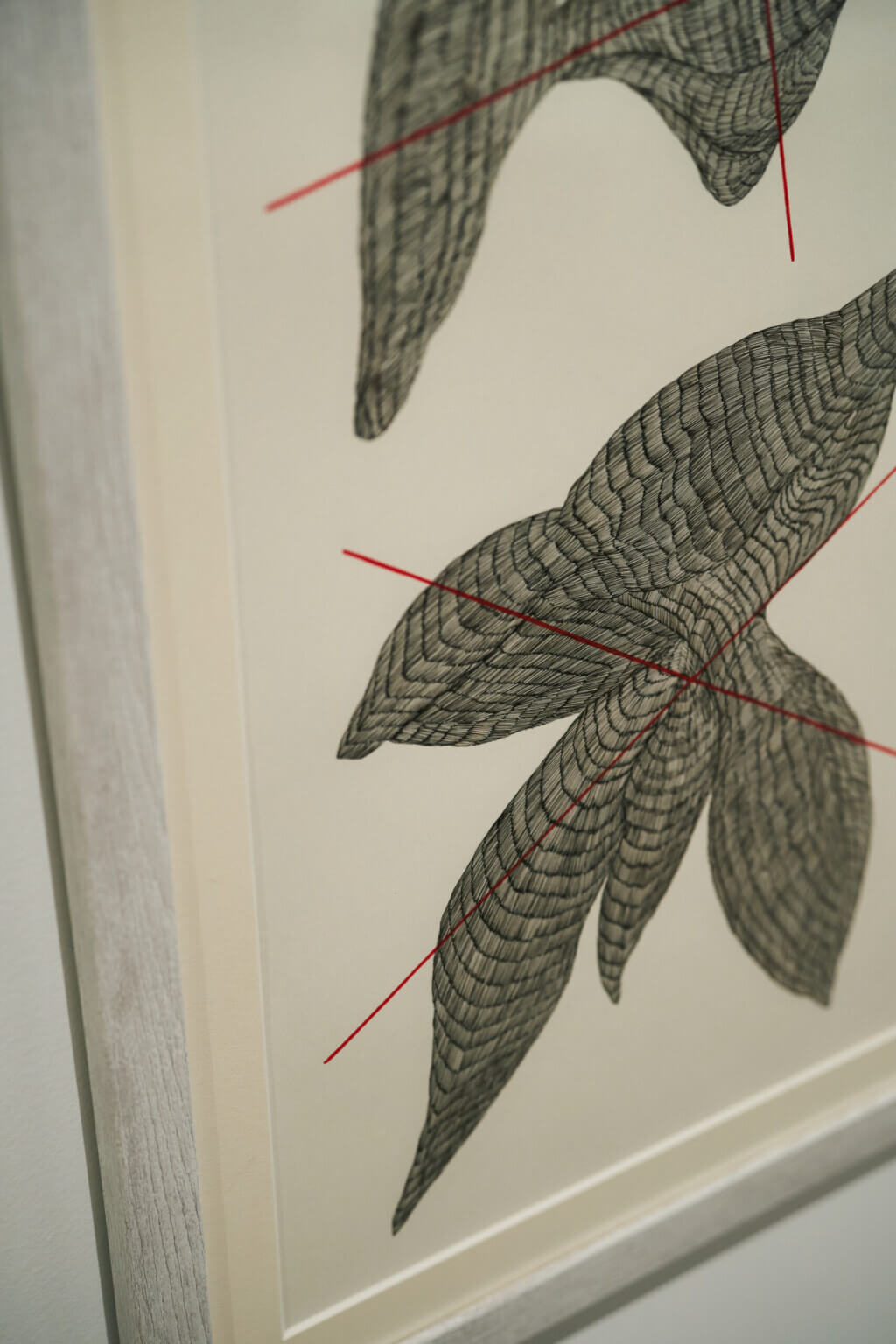 PHOTO REPORT|咲くやこの花賞受賞記念展示「野原万里絵 名もなき地への思索」