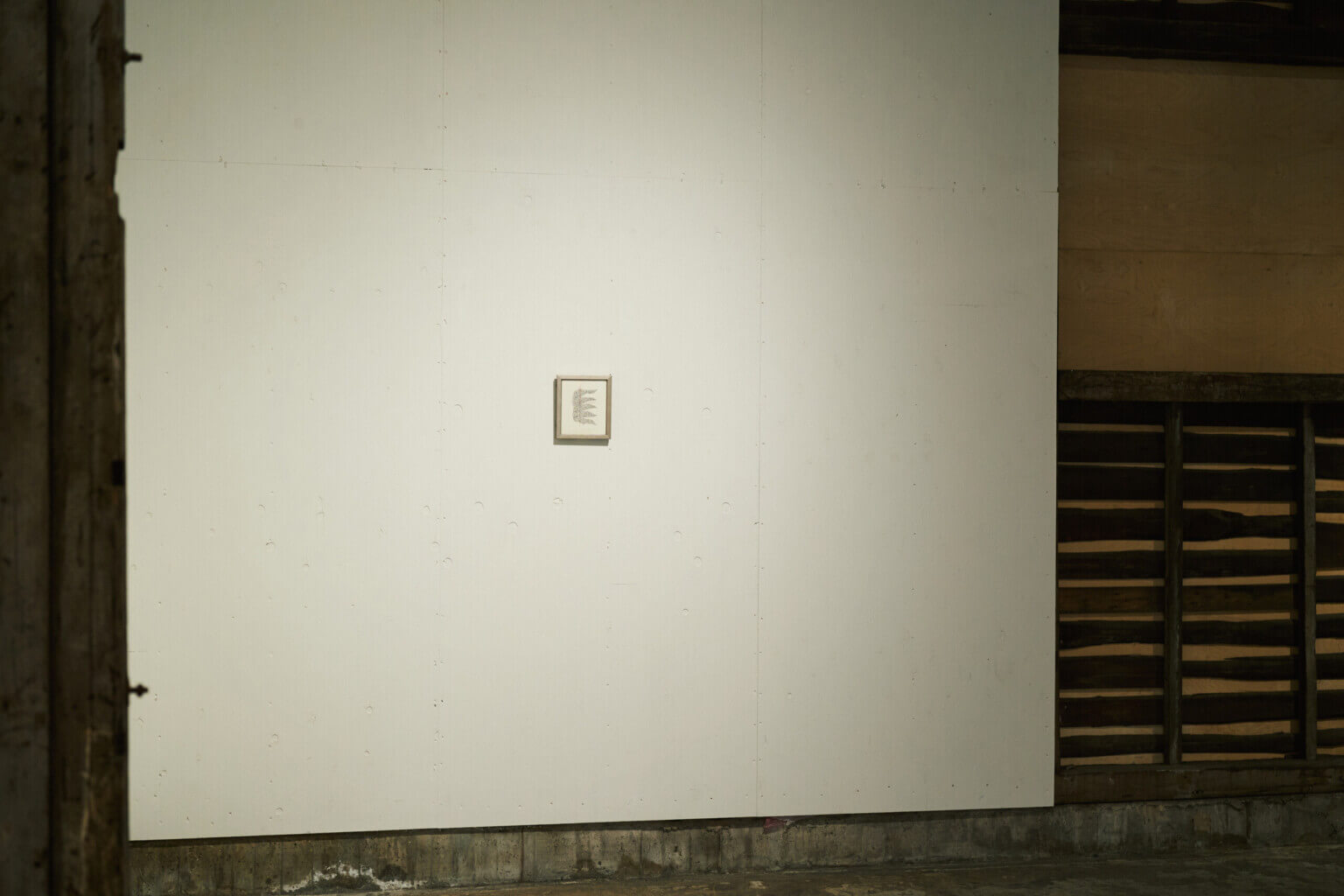 PHOTO REPORT|咲くやこの花賞受賞記念展示「野原万里絵 名もなき地への思索」