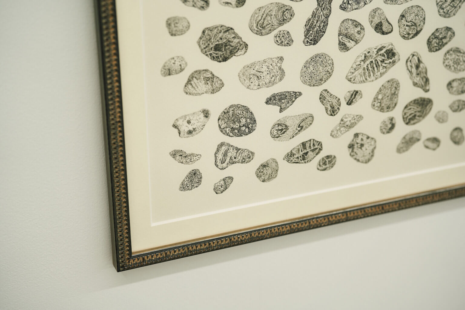 PHOTO REPORT|咲くやこの花賞受賞記念展示「野原万里絵 名もなき地への思索」