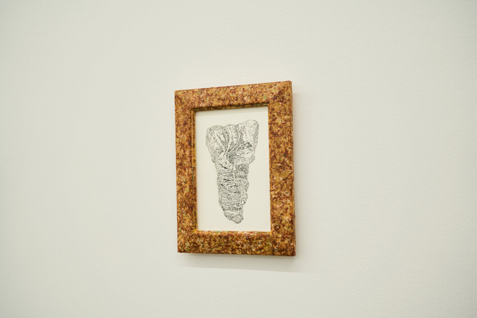 PHOTO REPORT|咲くやこの花賞受賞記念展示「野原万里絵 名もなき地への思索」