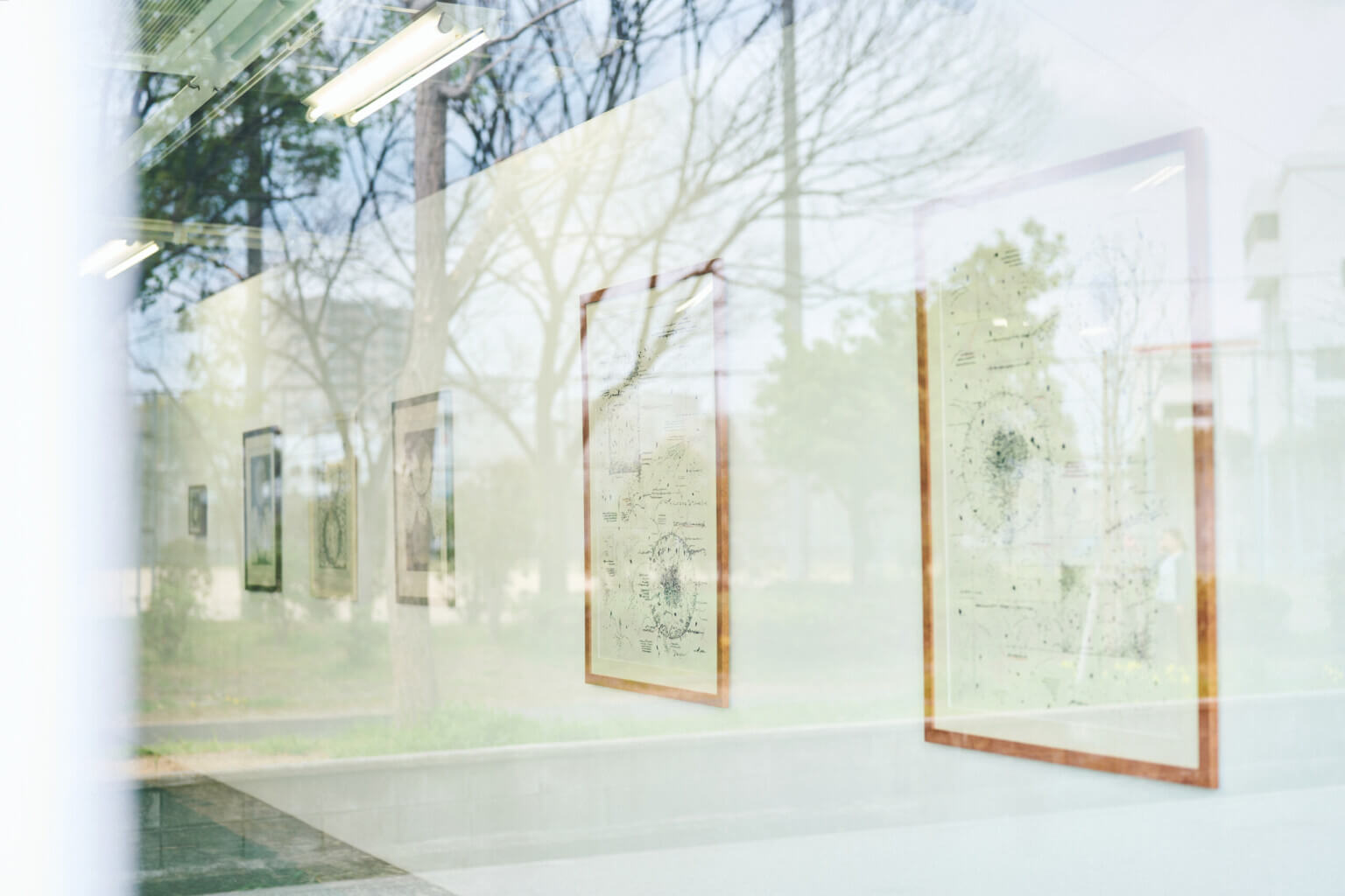 PHOTO REPORT|咲くやこの花賞受賞記念展示「野原万里絵 名もなき地への思索」